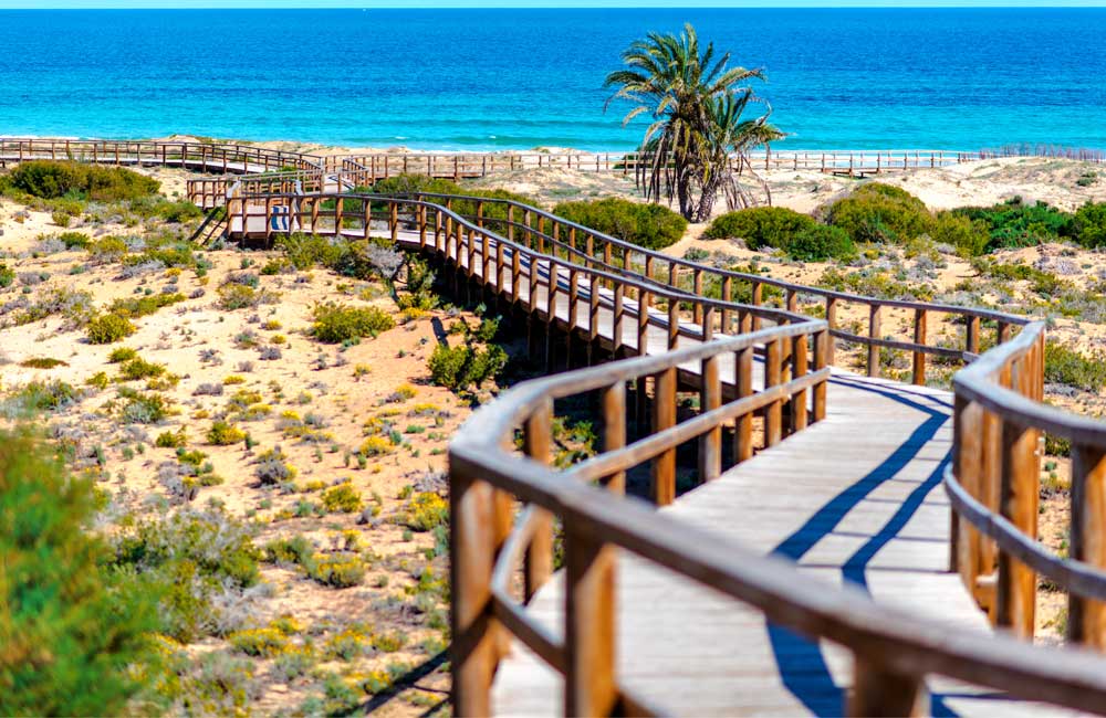 Playa Arenales del Sol Elche