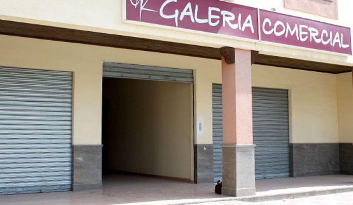 Promoción Padul, obra nueva en Padul (Revista)