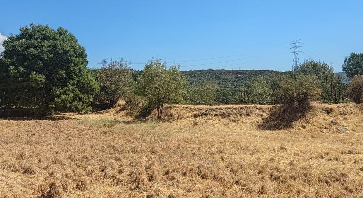 Promoción Guadarrama I, obra nueva en Guadarrama (Revista)