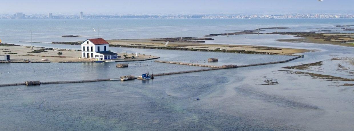 КВАРТИРЫ В НОВОСТРОЙКАХ В САН-ПЕДРО-ДЕЛЬ-ПИНАТАР