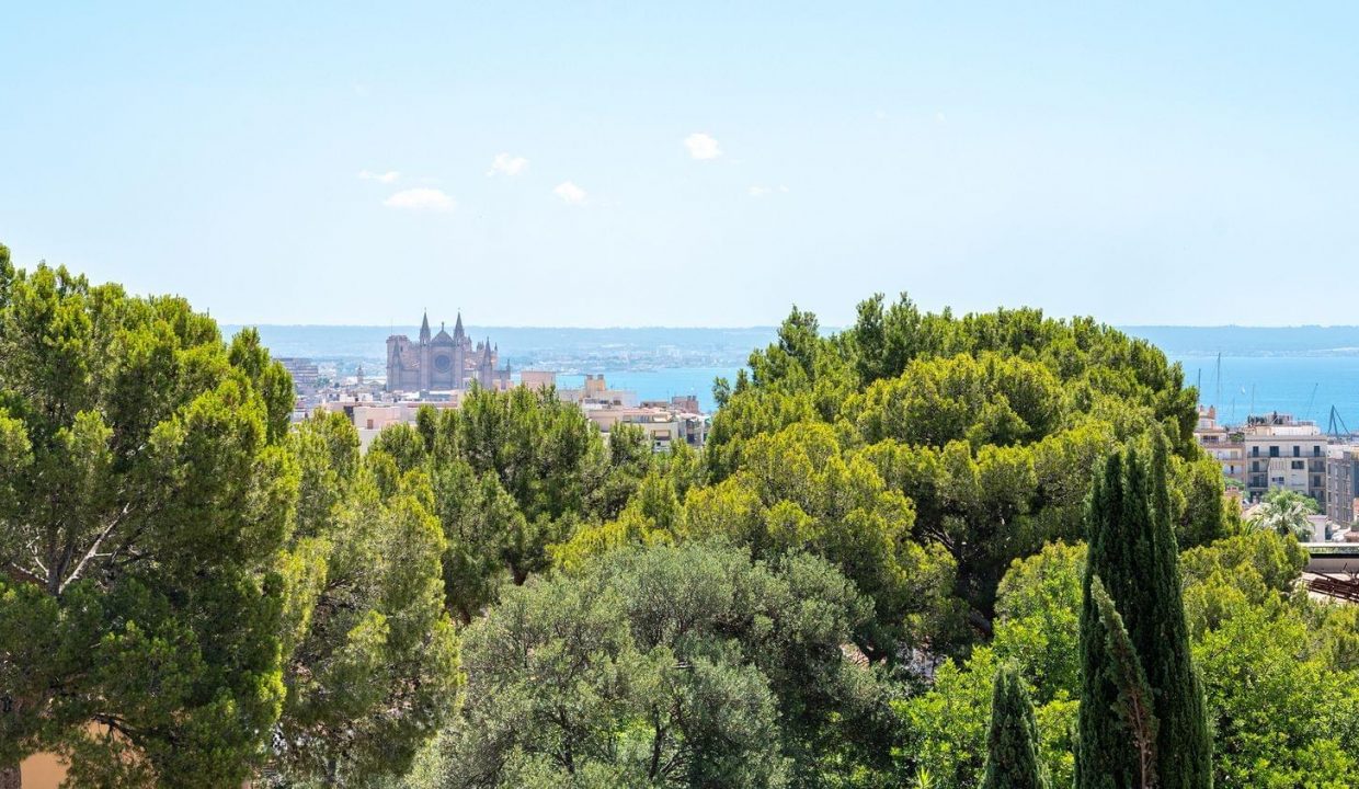 Promoción Salvia 1, obra nueva en Palma (Revista)