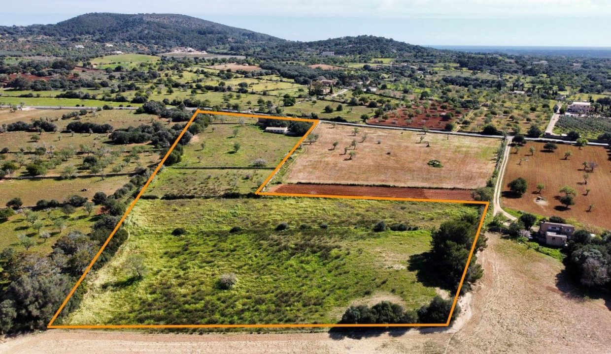 Promoción Villa Felantix, obra nueva en Santañy (Revista)