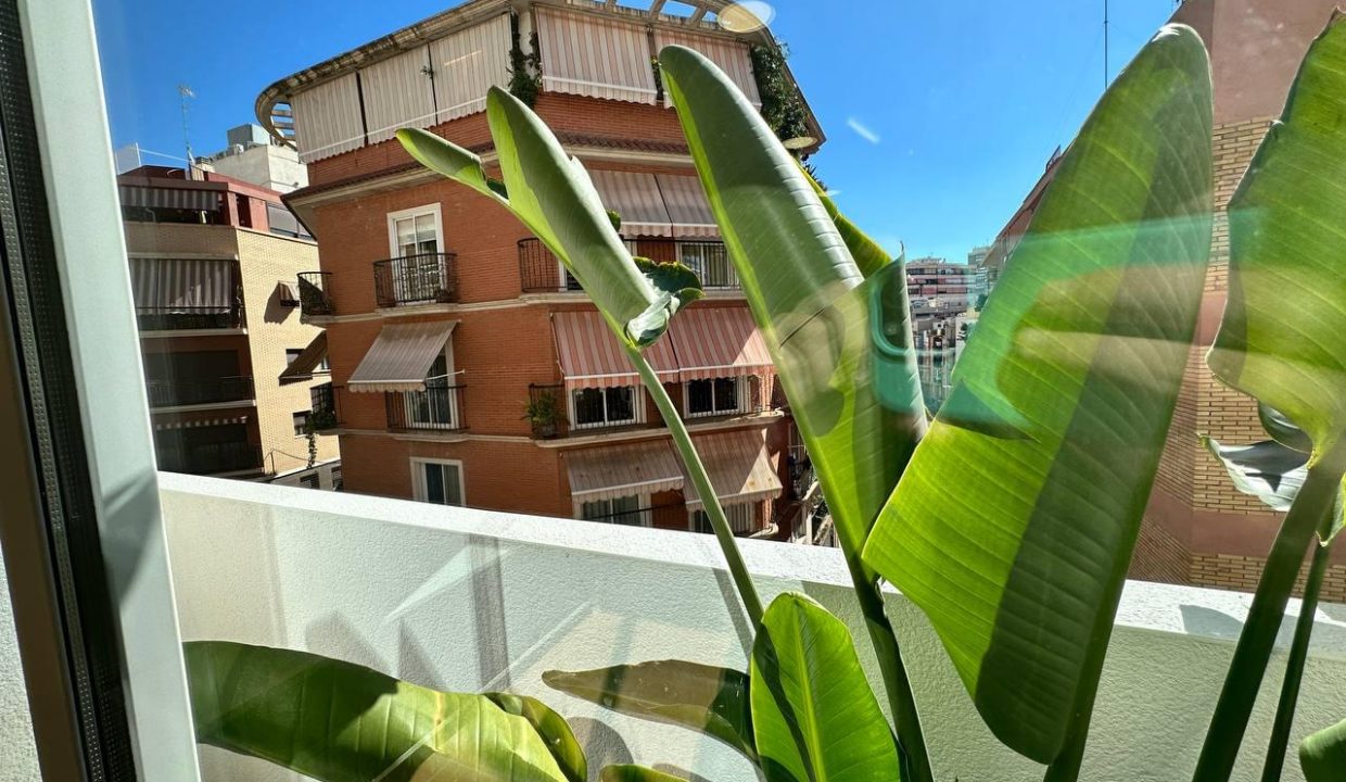 Promoción Carlota Pasaron, obra nueva en Alicante (Revista)