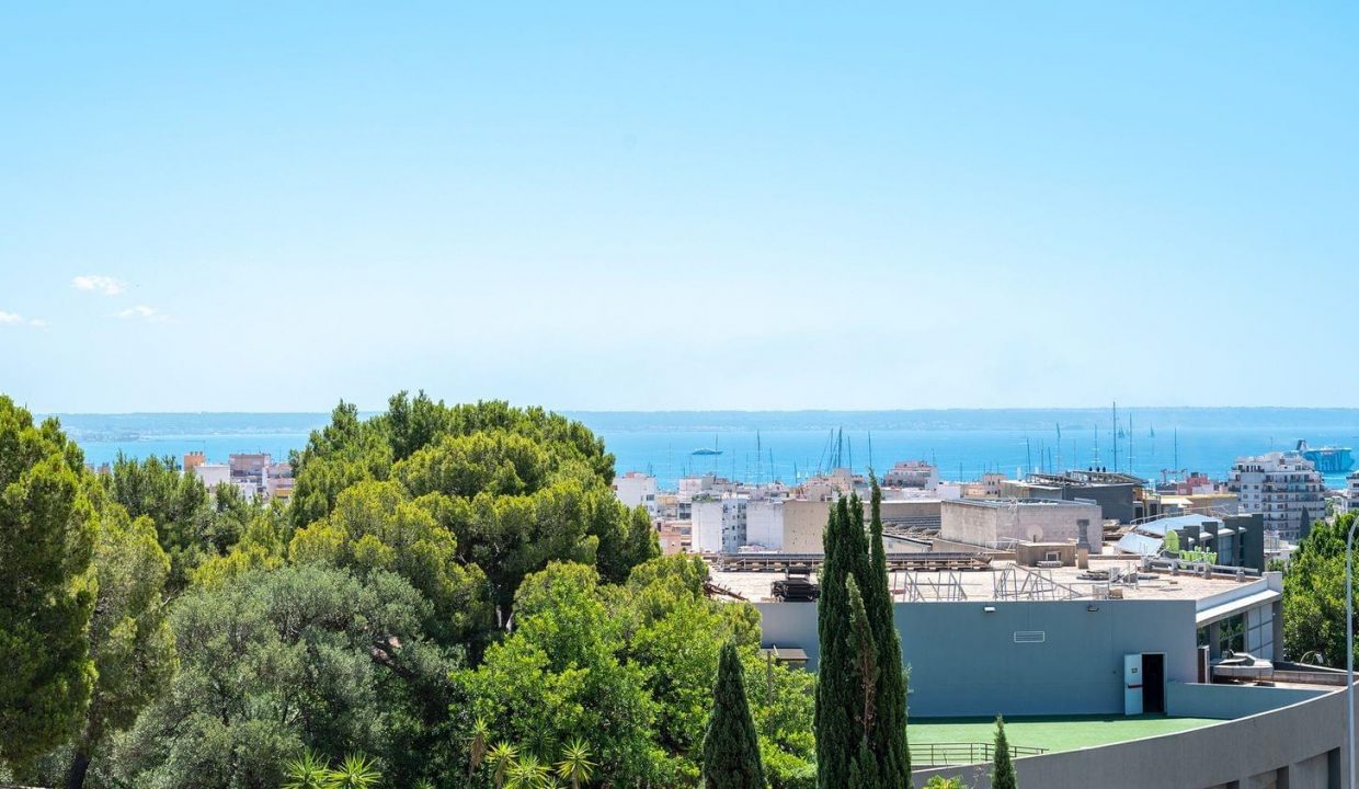Promoción Salvia 1, obra nueva en Palma (Revista)