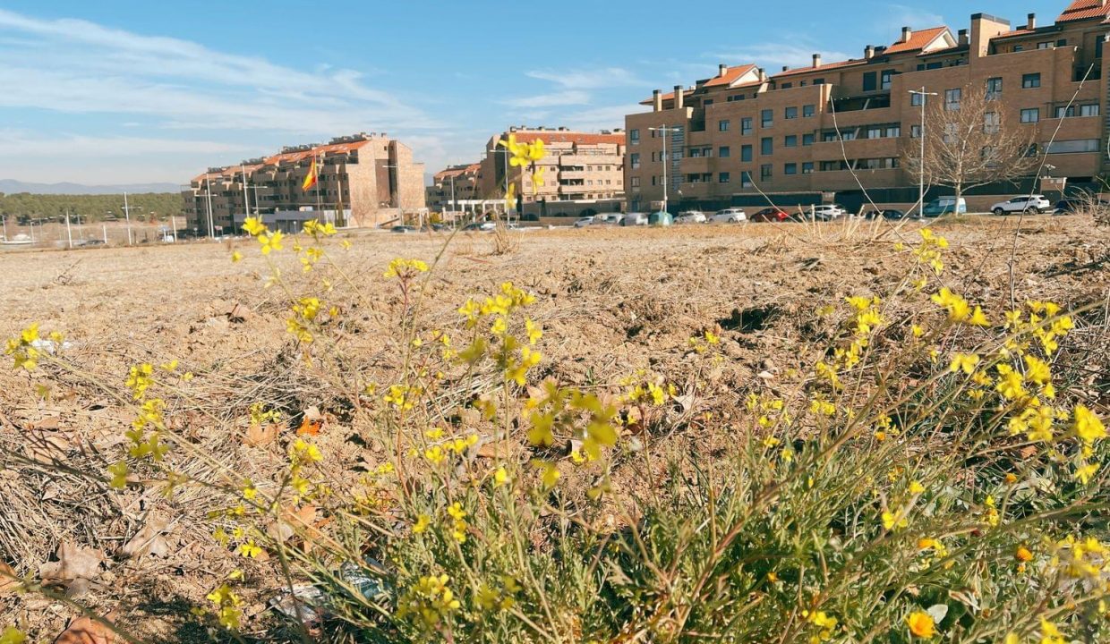 Promoción Greenhabitat Navalcarnero, obra nueva en Dehesa de Marimartín (Revista)