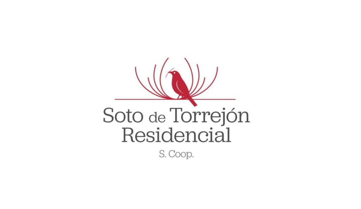 Promoción Viviendas con protección Pública (VPPL), de cooperativa, obra nueva en Torrejón de Ardoz (Revista)