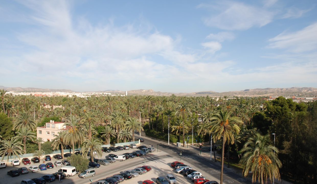 Promoción La Dama IV, obra nueva en Elche (Revista)