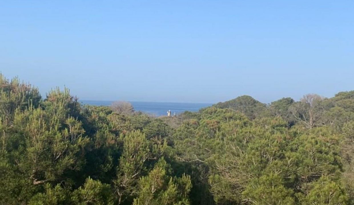 Promoción Vanguardista chalet Santani, obra nueva en Santañy (Revista)