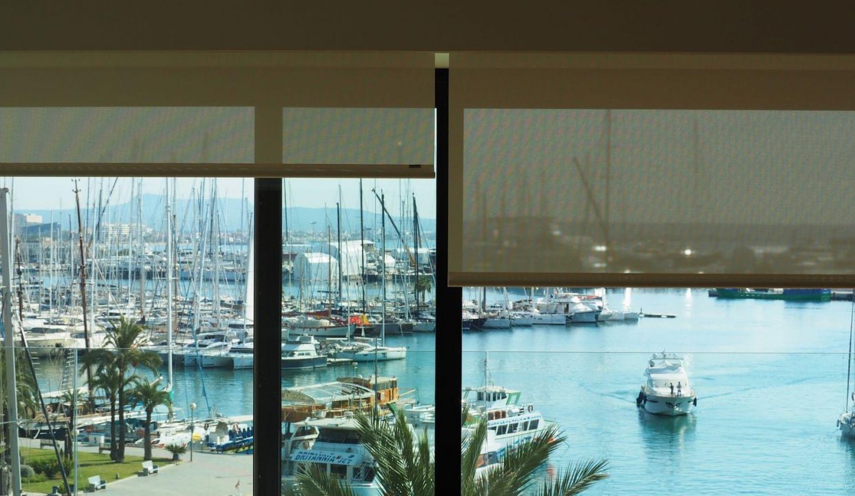 Promoción Palma Maritimo, obra nueva en Palma (Revista)