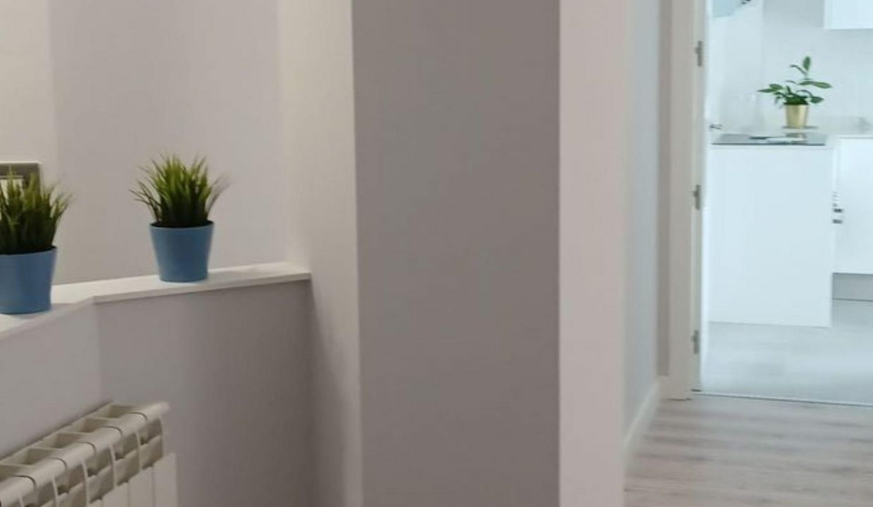Promoción Araucaria, obra nueva en Madrid (Revista)