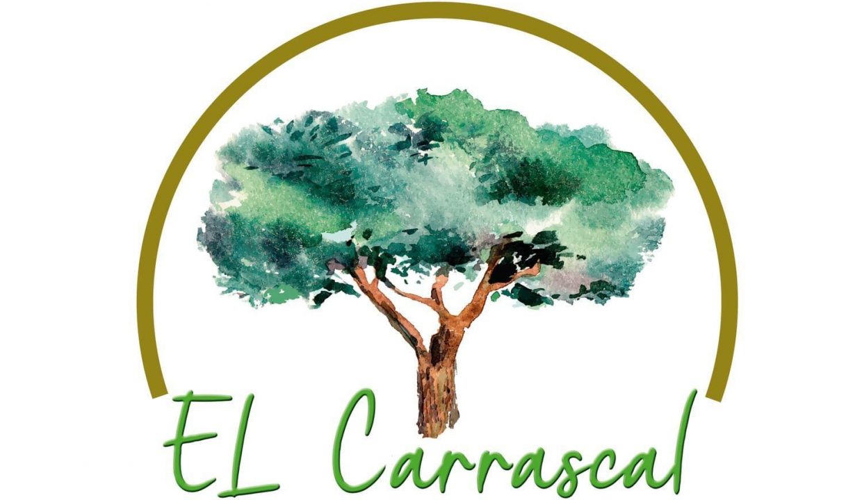 Promoción Edificio El Carrascal, obra nueva en Villanúa (Revista)