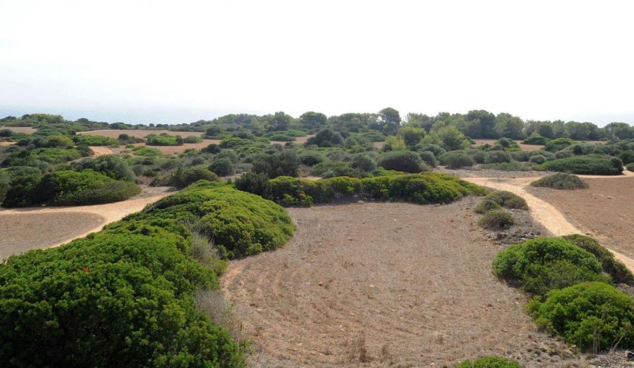 Promoción Finca Son Galta, obra nueva en Cala Bona (Revista)