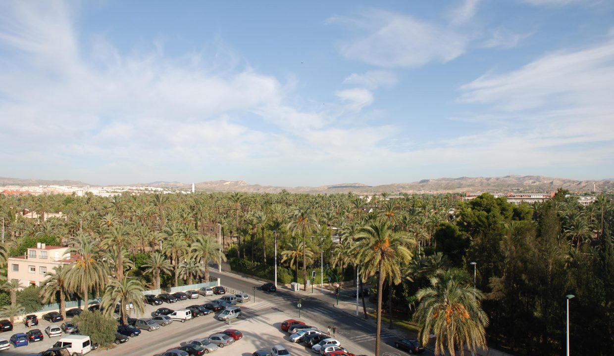 Promoción La Dama IV, obra nueva en Elche (Revista)