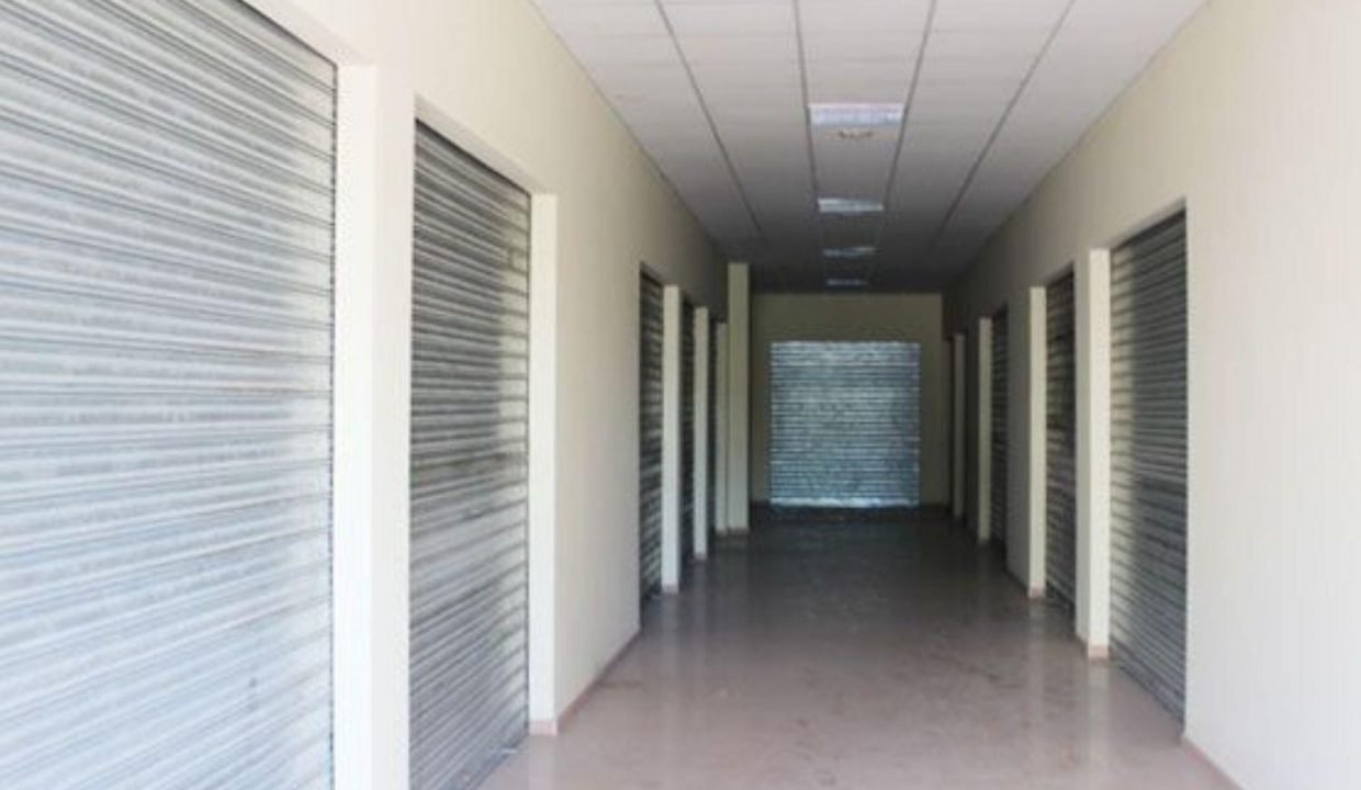 Promoción Padul, obra nueva en Padul (Revista)