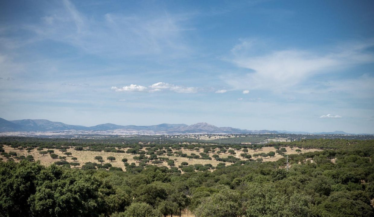 Promoción Aravaca-El Pardo, obra nueva en Madrid (Revista)