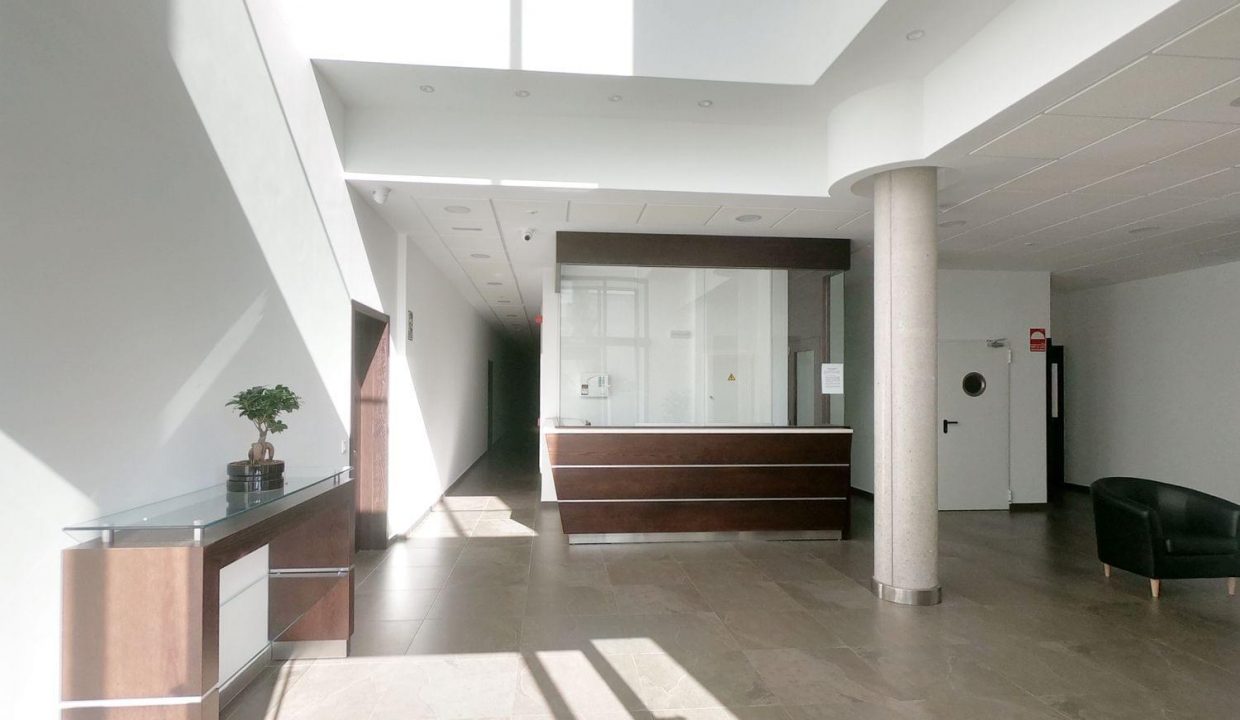 Promoción Lofts, obra nueva en San Sebastián de los Reyes (Revista)