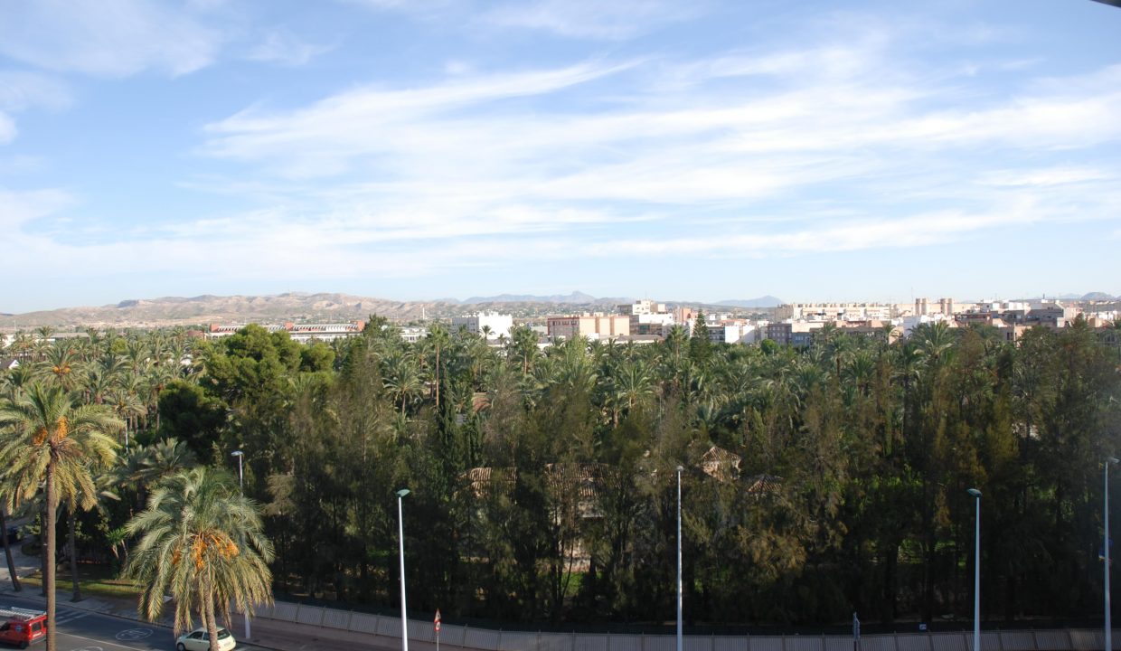 Promoción La Dama IV, obra nueva en Elche (Revista)