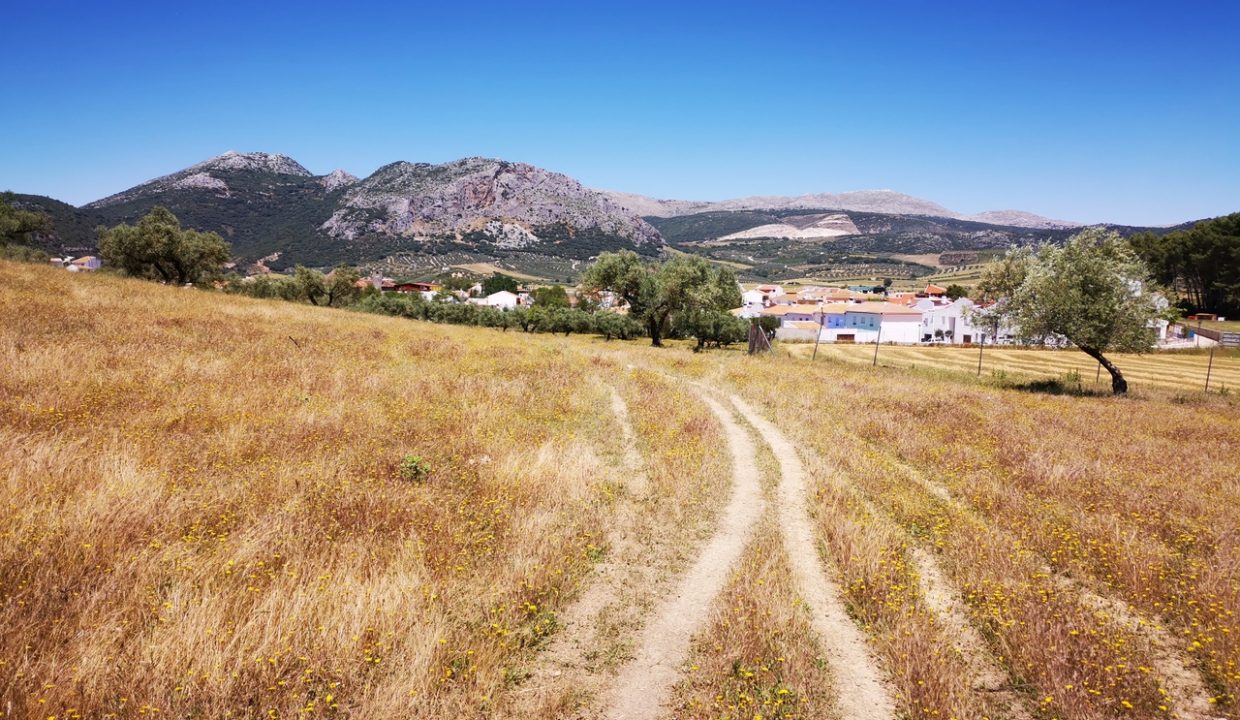 Участок в Периана