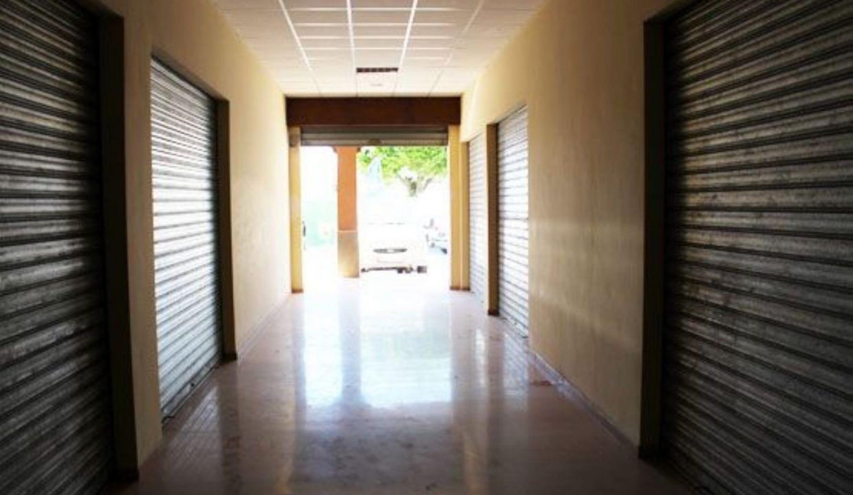 Promoción Padul, obra nueva en Padul (Revista)