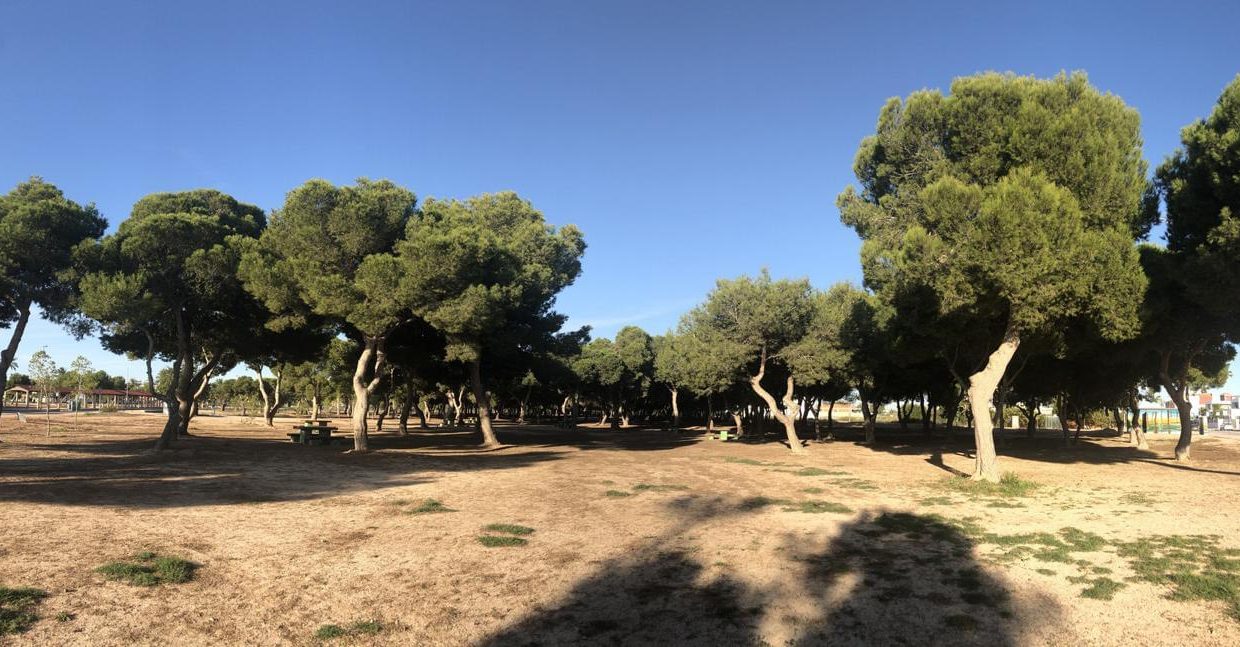 Promoción La Pinada, obra nueva en San Javier (Revista)