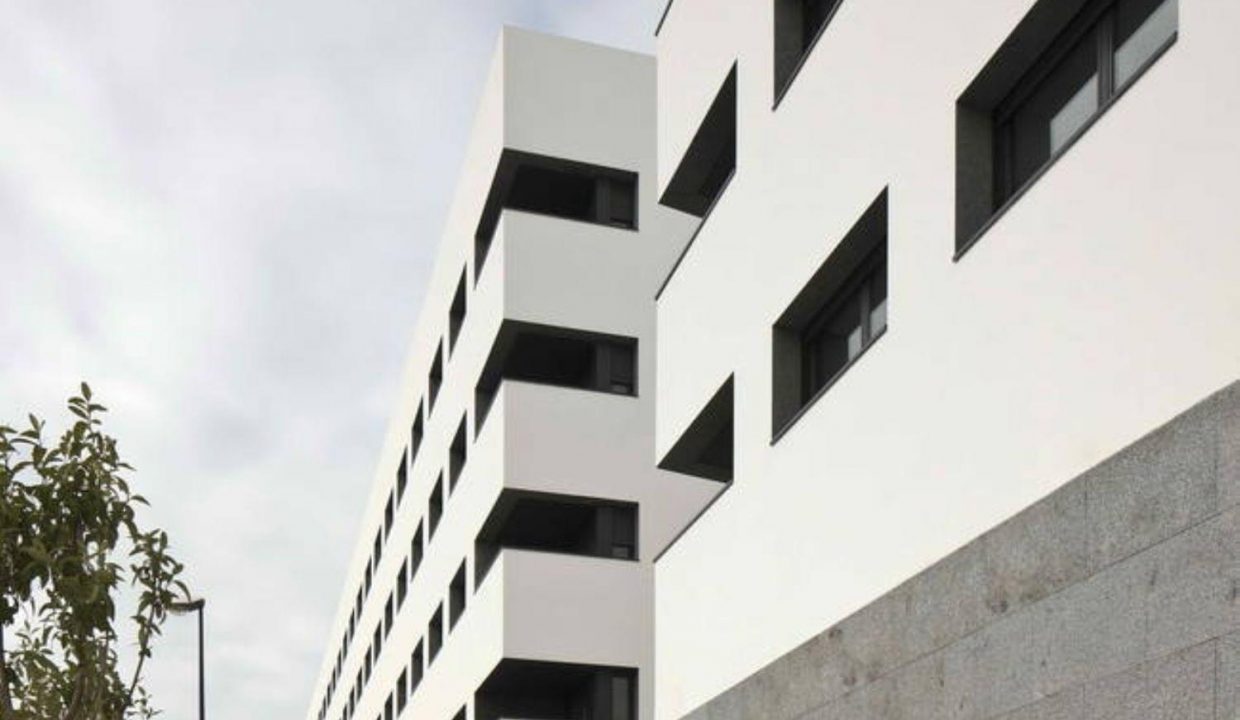 Promoción Real 229, obra nueva en San Fernando (Revista)