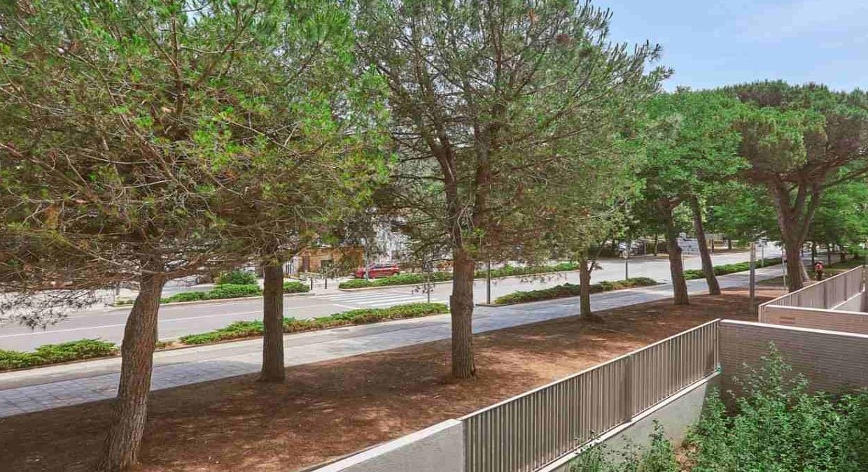 Promoción Vila de Tossa, obra nueva en Tossa de Mar (Revista)