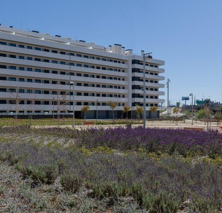 Promoción Jardins del Forum – Fase II, obra nueva en Sant Adrià de Besòs (Revista)