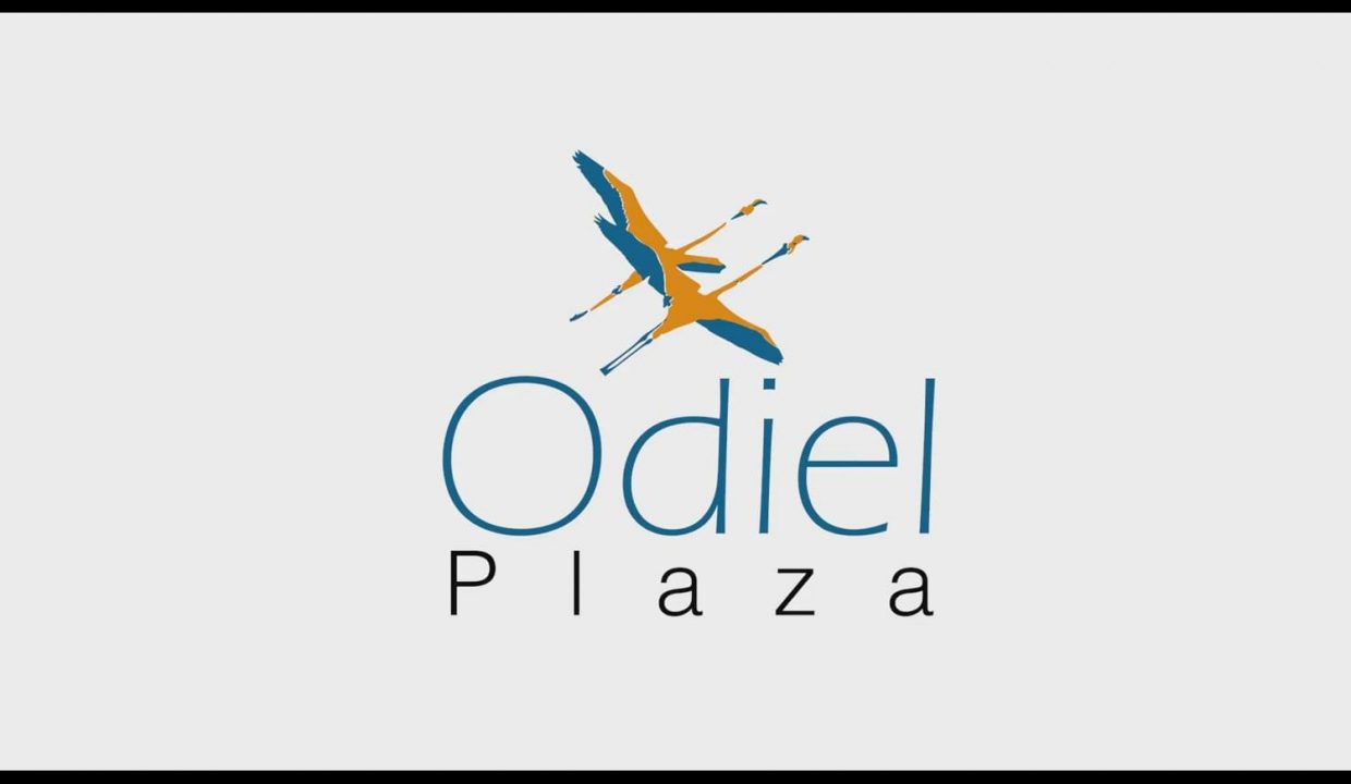 Promoción Odiel Plaza, obra nueva en Huelva (Revista)