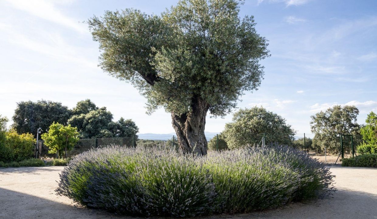 Promoción Aravaca-El Pardo, obra nueva en Madrid (Revista)