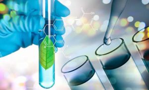 Cómo las biotecnologías cambian la economía de España y abre nuevos mercados